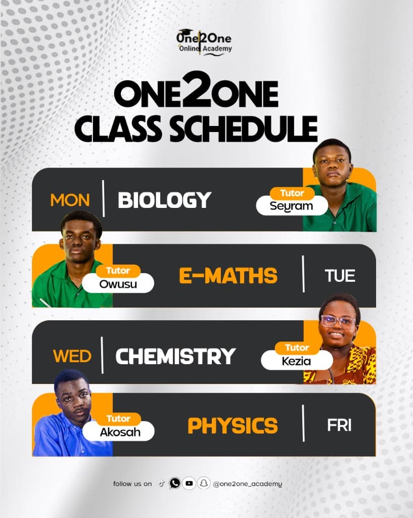 One2One class schedule: Biology, E-Maths, Chemistry, Physics